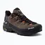 Кросівки Salewa Alp Trainer 2 Men 44,5 Коричневий - мініатюра 1