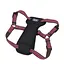 Coastal k9 Explorer Harness 11.3-22.6 кг костал к9 эксплорер светоотражающая шлея с нагрудником для собак - миниатюра 1