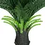 Искусственное растение Cycas Palm 60 см (DW-24) - миниатюра 4