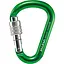 Карабин Salewa HMS Screw G2 Medium Green (1054-013.003.1318) - миниатюра 1