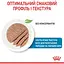 Вологий корм для вагітних собак і цуценят Royal Canin Starter Мother & Вabydog Мousse 2.34 кг (12 шт. х 195 г) - миниатюра 6