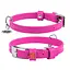 Ошейник для собак кожаный Waudog Glamour с QR-паспортом без украшений S Ш 15 мм Д 27-36 см розовый - миниатюра 1