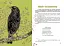 Вусохвості й лапокрилі. Читанка про тварин - миниатюра 7
