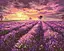 Картина за номерами на підрамнику Brushme Лавандовий захід сонця - мініатюра 1