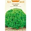 Салат Листовий Латук Насіння України Maxi 5 г - мініатюра 1
