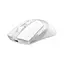 Мишка A4Tech FB50C Plus Wireless/Bluetooth White (4711421002875) - мініатюра 2