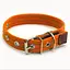 Нашийник для собак Zoo-hunt брезентовий світловідбиваючий помаранчевий ОБ світл. 2,5/33-44 см - мініатюра 1