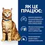 Сухий корм Hill's Prescription Diet c/d для котів для догляду за сечовидільною системою, з куркою, 1,5 кг - мініатюра 4