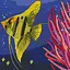 Картина по номерам "Желтая рыбка" 11535-AC 30х30 см - миниатюра 1