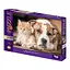 Пазли 500 елементів, серія 15 Dog with little kitten DANKO TOYS С500-15-11 - мініатюра 1