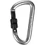 Брелок Salewa D-Shape Carbiner with screw (1054-013.003.1434) - мініатюра 1