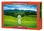 Пазл Castorland puzzle Рисовые поля во Вьетнаме, 1000 эл. (C-105052) - миниатюра 1