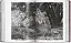 Sebastiao Salgado. Genesis. 45th Edition - миниатюра 14