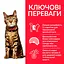 Сухий корм Hill's SP Feline Adult Ligt C 3 кг для дорослої кишки зі схильністю - мініатюра 3