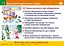 Безпечний відпочинок узимку. Безпека руху пішоходів. Сигнали світлофорів (15-16). Навчальний посібник - мініатюра 1