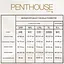 Сексуальна сукня прозора Penthouse Love On Fire колір: чорний Розмір m/l - мініатюра 4
