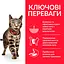 Сухий корм Hill's SP Adult Perfect Weight для підтримання оптимальної ваги у котів з куркою 2,5 кг - мініатюра 2