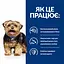 Вологий корм для собак Hill’s Prescription Diet l/d Liver Care підтримання функції печінки, консерва, 370 г - мініатюра 3