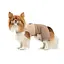Шлей-костюм Darcy ТМ Pet Fashion для собак M бежева - мініатюра 4