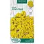 Насіння Кермек Насіння України Літнє сонце 0.2 г (802500) - мініатюра 1