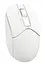 Беспроводная мышь A4Tech Fstyler FG12 Wireless White (FG12 (White)) - миниатюра 2