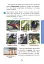 Я досліджую світ. Підручник. 4 клас. У 2-х частинах. Частина 2 - миниатюра 8