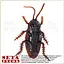 Прикол Таракан - миниатюра 2