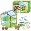 Ботанічні експерименти 18415 4FUN Game Club, теплиця, насіння, інструменти, в коробці (6945717414013) - мініатюра 1