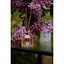 Аромадиффузор Collines de Provence Blue Lilac 100 мл - миниатюра 3
