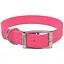Нашийник для собак Coastal Fashion Waterproof Dog Collar 2,5х61 см біотановий (04912_PNK24) - мініатюра 1