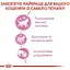 Влажный корм для стерилизованных котят Royal Canin Kitten Sterilised кусочки в соусе 1.02 кг (12 шт. х 85 г) - миниатюра 5
