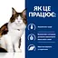 Вологий корм Hill's Prescription Diet w/d для котів при цукровому діабеті та для контролю ваги, з куркою, 85 г - мініатюра 2