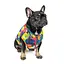 Жилет Pet Fashion Spring для собак, розмір XS, принт - мініатюра 2