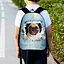 Рюкзак детский с собакой 34х27 см, ранец городской для мальчика, девочки (00478) - миниатюра 1