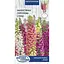 Насіння Наперстянка пурпурова Насіння України суміш 0.2 г (761000) - мініатюра 1