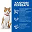 Сухий корм Hill's SP Adult Sterilised Cat Salmon для дорослих стерилізованих котів, з лососем, 10 кг - мініатюра 2