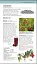 Herbal Remedies Handbook - мініатюра 8