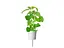 Змінний картридж Click & Grow Котяча м'ята 3 капсули (7465) - мініатюра 2