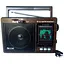 Радиоприемник Golon RX-9966 (FM, AM, SW) разъемы USB или SD - миниатюра 1