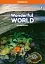 Wonderful World 2nd Edition 1 Workbook - мініатюра 1