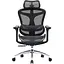 Крісло офісне Sihoo Doro C300L Mesh Black (DORO-C300L-A3-101) - мініатюра 1