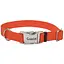 Нашийник для собак Coastal Titan Buckle 2.5х36-51cм - мініатюра 1