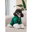 Комбинезон Pet Fashion EGO S зеленый для собак - миниатюра 7