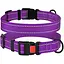 Ошейник для собак Barksi Active светоотражающий пластиковый фастекс 25-33х1.6 см фиолетовый - миниатюра 3