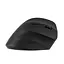 Мишка 2E MF325 Silent Wireless/Bluetooth Black (2E-MF325WBK) - мініатюра 4