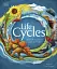 Life Cycles. Everything from Start to Finish - миниатюра 1