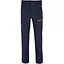 Штаны Salewa Terminal Pants Mns синие M - миниатюра 1