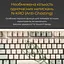Клавіатура Ducky One 3 Cherry MX Red Matcha Cream DKON2108-RUAPXМAEGGC1 UA (126106) - мініатюра 9