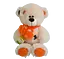 Ведмідь Тедді, 63x34 см (В асортименті) - мініатюра 1