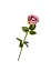 Цветок искусственный "Роза изысканная" 67 см Elisey - миниатюра 1